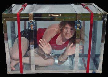 Dayle in the Transparent Trunk