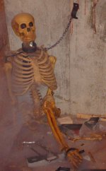 The Horror of Phobia
